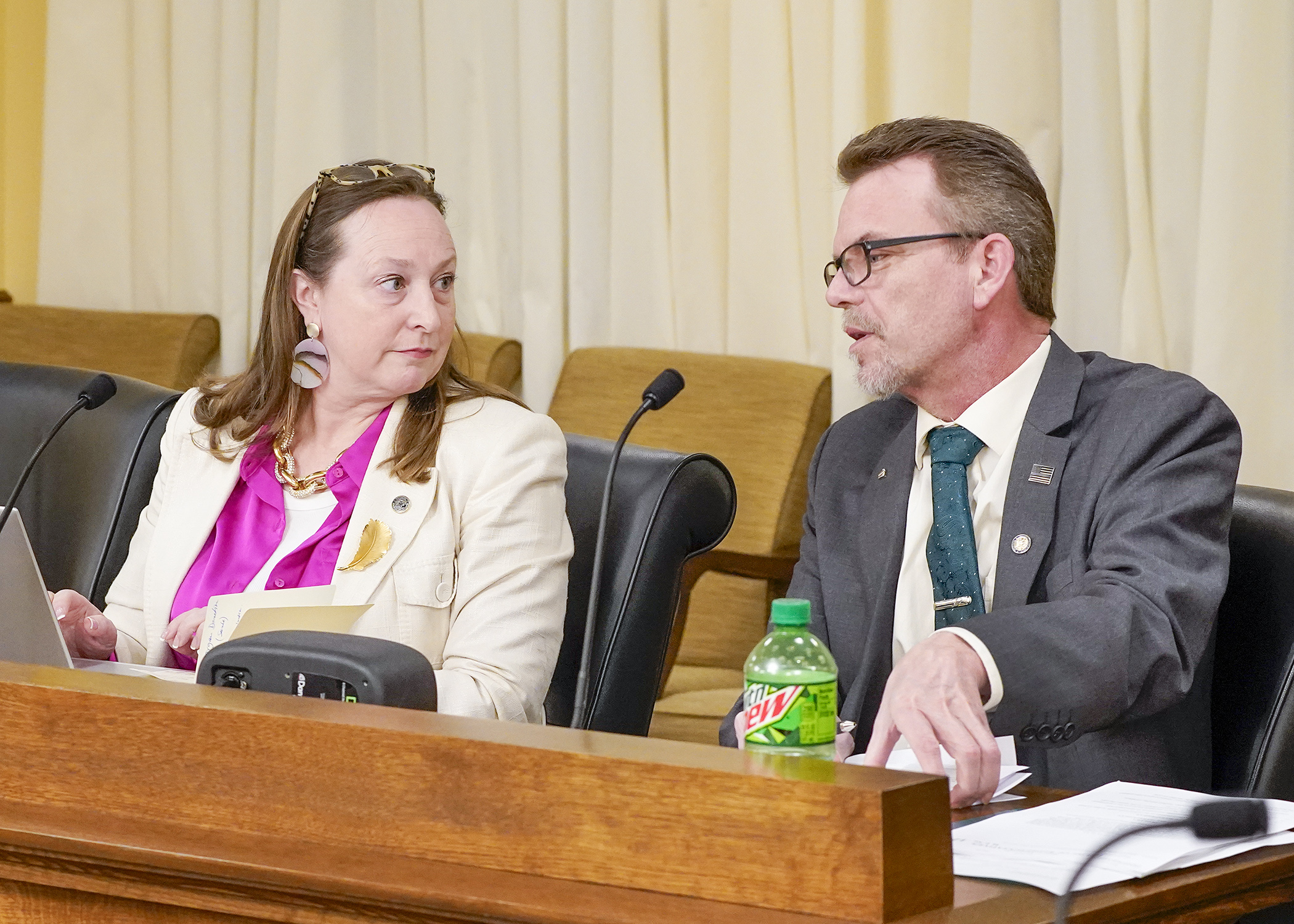 In a bipartisan moment, Rep. Kristin Bahner and Rep. Shane Mekeland converse while presenting HF1268 to the House Housing Finance and Policy Committee March 4. The bill would create a homeowners association and common interest community reform package. (Photo by Andrew VonBank)